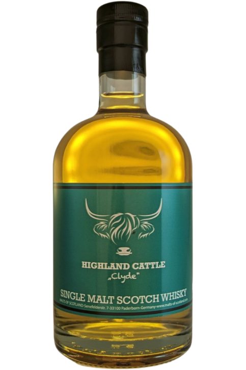 Highland Cattle "Clyde"  von MALTS OF SCOTLAND