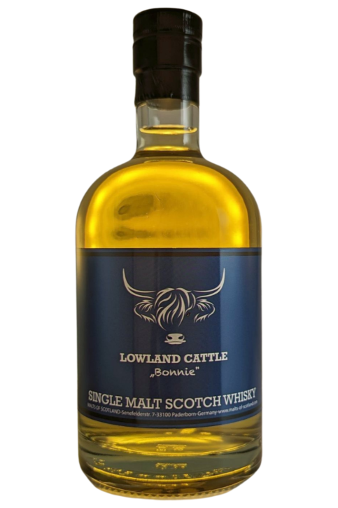 Lowland Cattle "Bonnie"  von MALTS OF SCOTLAND