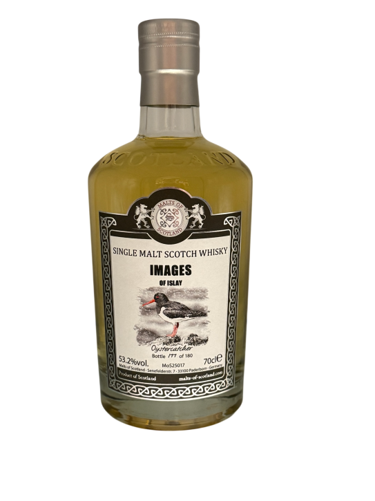 IMAGES OF ISLAY "Oystercatcher" MoS25017