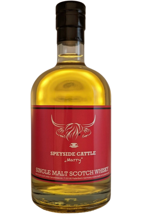 Speyside Cattle "Marry"  von MALTS OF SCOTLAND